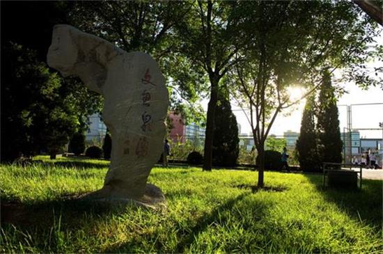 北京市第八十中学国际部图片