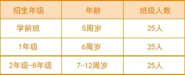 曦城协同招生年级及年龄