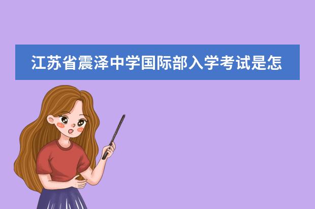 江苏省震泽中学国际部入学考试是怎样的情况?