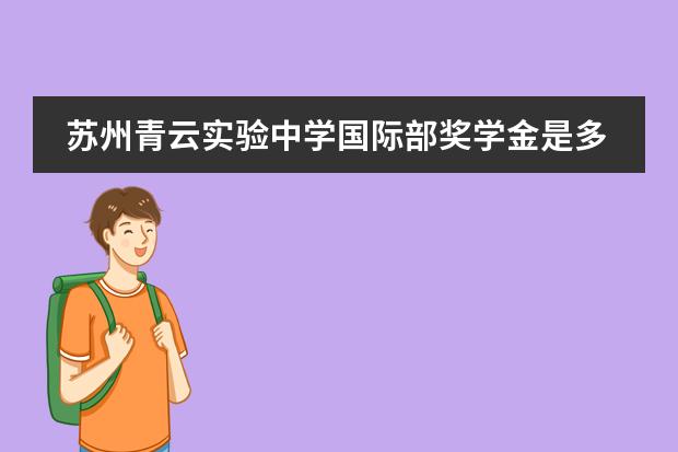 苏州青云实验中学国际部奖学金是多少？