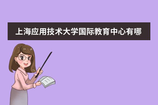 上海应用技术大学国际教育中心有哪些优势