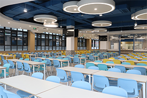 淄博市美达菲双语高级中学