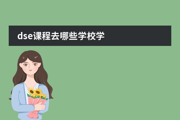 dse课程去哪些学校学