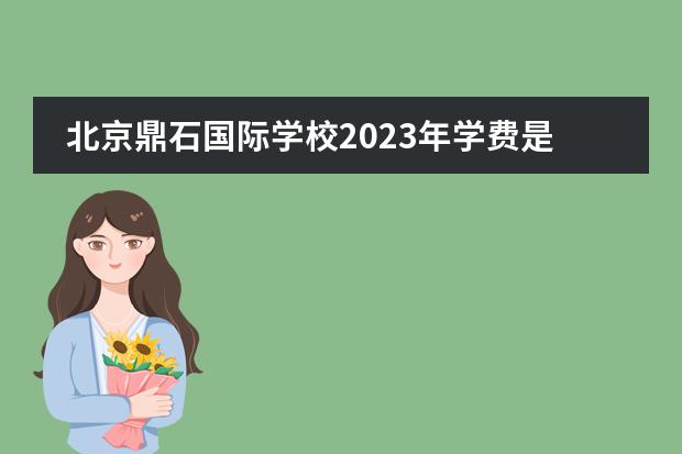 北京鼎石国际学校2023年学费是多少？