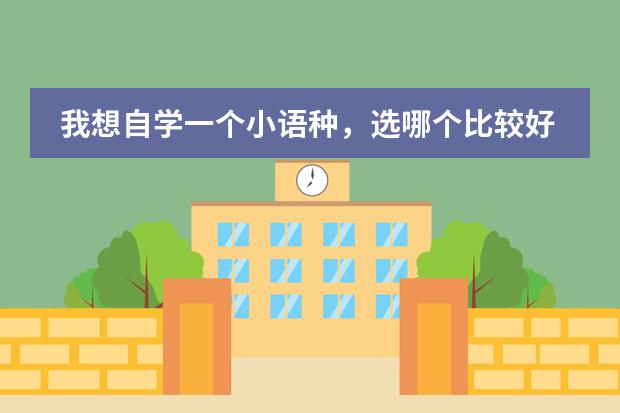 我想自学一个小语种，选哪个比较好呢？韩语和西班牙语哪个比较简单？哪个比较有学习的价值呢？