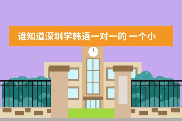 谁知道深圳学韩语一对一的 一个小时多少钱?