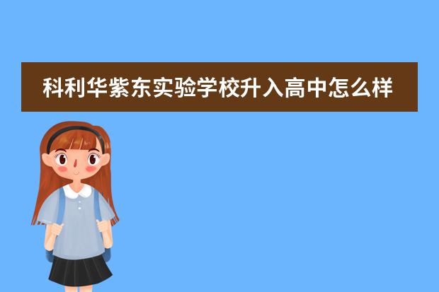 科利华紫东实验学校升入高中怎么样
