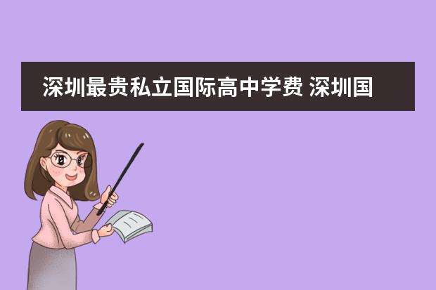 深圳最贵私立国际高中学费 深圳国际学校学费一览表
