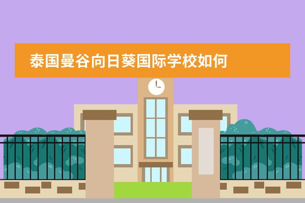 泰国曼谷向日葵国际学校如何