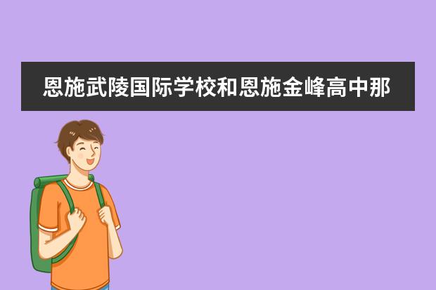 恩施武陵国际学校和恩施金峰高中那个好点？（在恩施市武陵国际实验学校就读是种怎样的体验?）