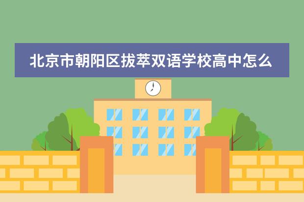 北京市朝阳区拔萃双语学校高中怎么样