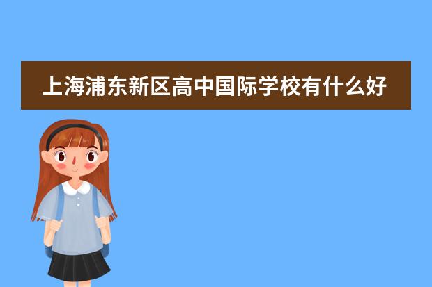 上海浦东新区高中国际学校有什么好的推荐？