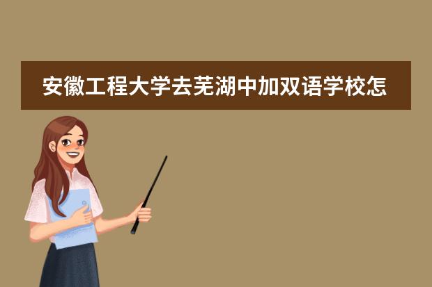 安徽工程大学去芜湖中加双语学校怎么走?