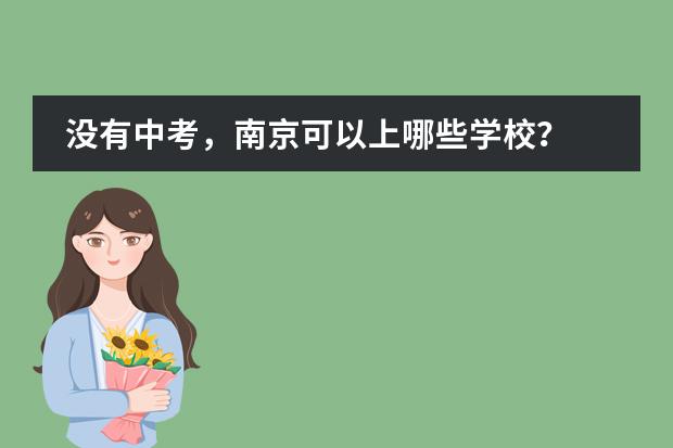 没有中考,南京可以上哪些学校?
