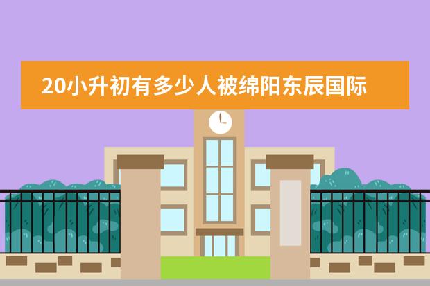 20小升初有多少人被绵阳东辰国际学校录取