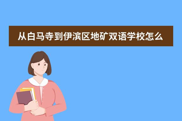 从白马寺到伊滨区地矿双语学校怎么坐公交车