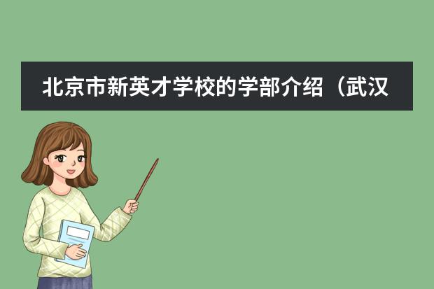 北京市新英才学校的学部介绍（武汉最好的十大幼儿园）