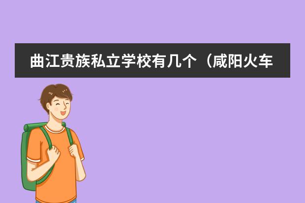 曲江贵族私立学校有几个(咸阳火车站到西安曲江德泰幼儿园咋走)