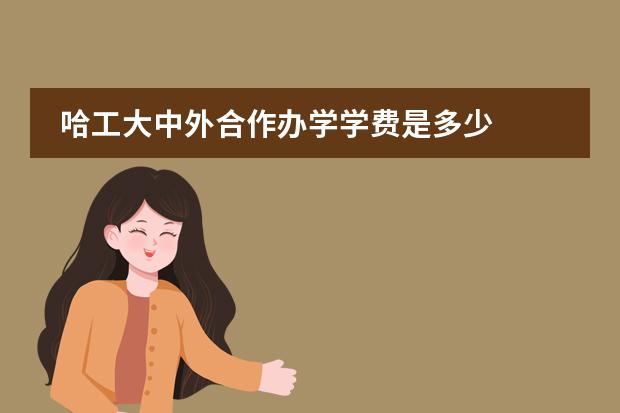 哈工大中外合作办学学费是多少