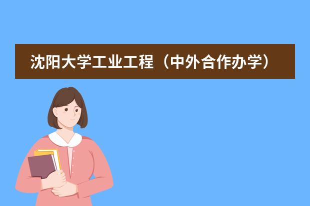 沈阳大学工业工程（中外合作办学）学费多少