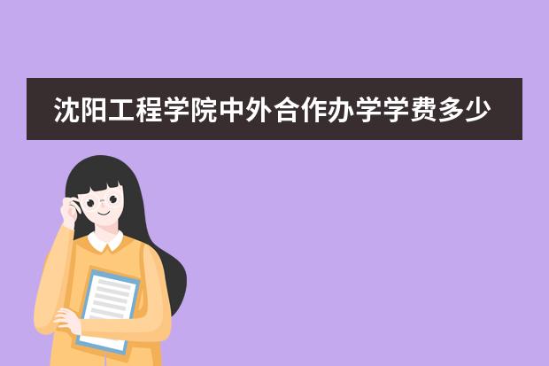 沈阳工程学院中外合作办学学费多少钱一年