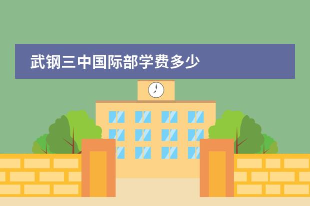 武钢三中国际部学费多少
