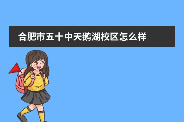 合肥市五十中天鹅湖校区怎么样