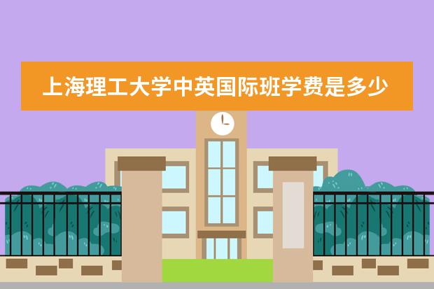 上海理工大学中英国际班学费是多少？我是一本考入的。但是家里条件不是很好。求指点