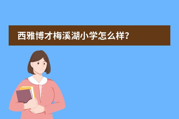 西雅博才梅溪湖小学怎么样？