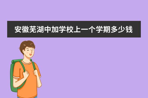 安徽芜湖中加学校上一个学期多少钱