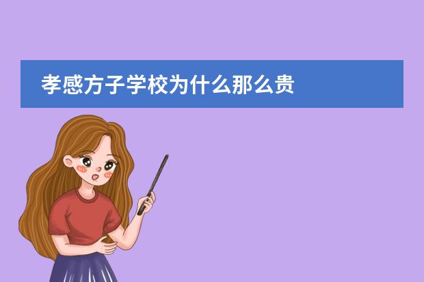 孝感方子学校为什么那么贵