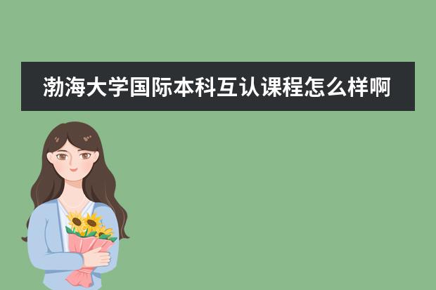 渤海大学国际本科互认课程怎么样啊?