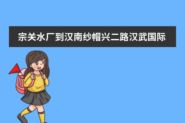 宗关水厂到汉南纱帽兴二路汉武国际城怎么坐车