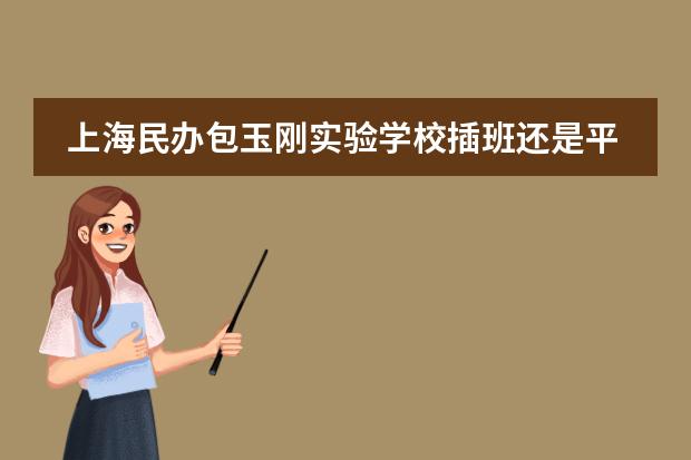 上海民办包玉刚实验学校插班还是平和双语学校，转学条件怎么核对？