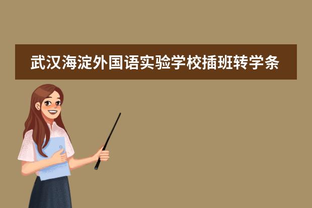 武汉海淀外国语实验学校插班转学条件怎么核对？